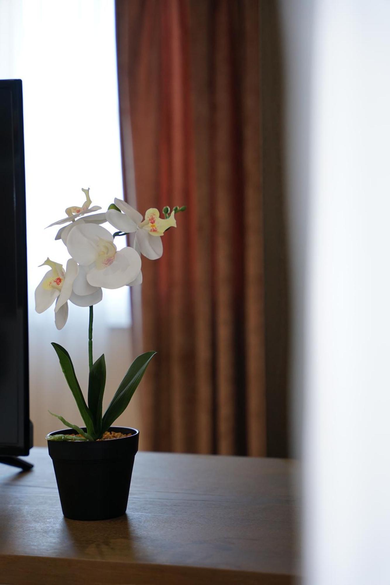 Doanesia Premium Hotel & Spa Tirana Bagian luar foto